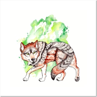 Mexican Wolf Stalk Posters and Art